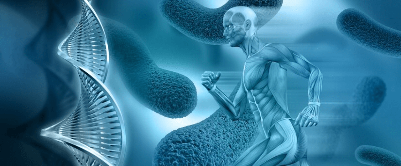 glucosamina para que sirve